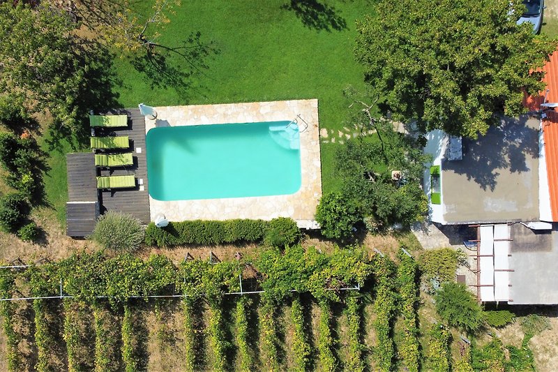 Pool und Garten der Villa Kucica