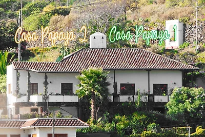Casa Papaya 2