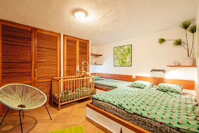 Vakantiehuis Ontspannende vakantie Breña Alta