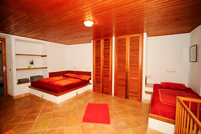 Casa Papaya 2