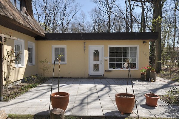 Ferienwohnung Markgrafenheide