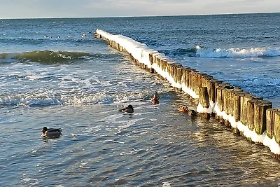 Fewo "Beim Wetterstein"