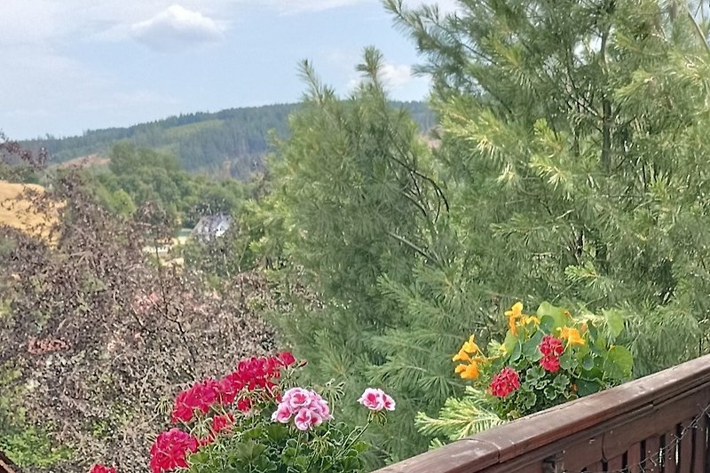 Genießen Sie die Schönheit des Thüringer Waldes schon auf dem Balkon Ihrer Ferienwohnung aus.