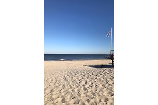 Ferienhaus Dona Zeeland mit Hund