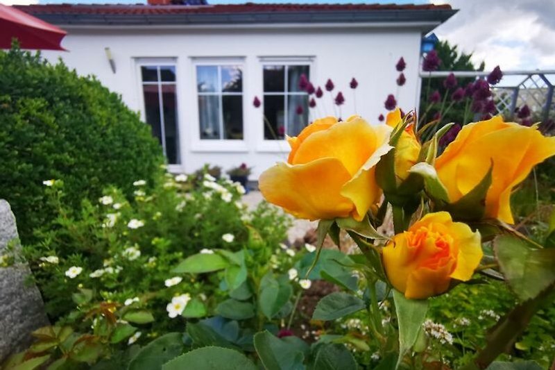 Hübsches Haus mit blühendem Garten und blauen Himmel.