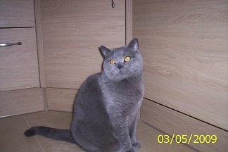 Herr U. Haß Herr U. Haß