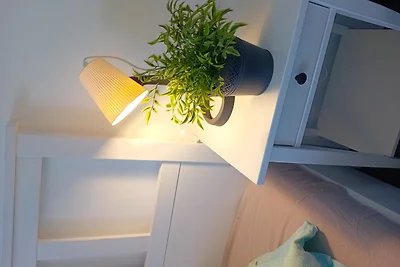 Friesenmöwe