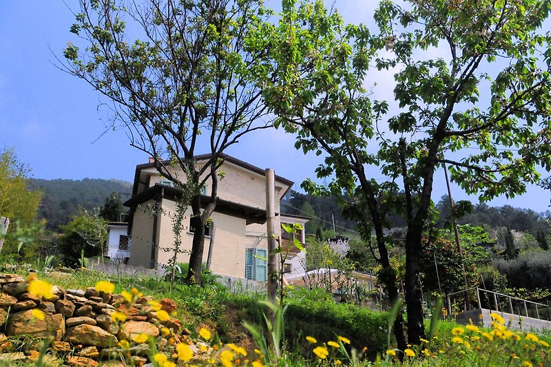 Grünes Land mit Bäumen, Sträuchern und einem Bauernhaus.