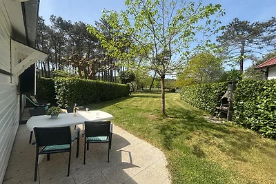 Maison Mimosa