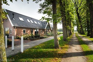 Ferienhaus Lievelde LVD-1177