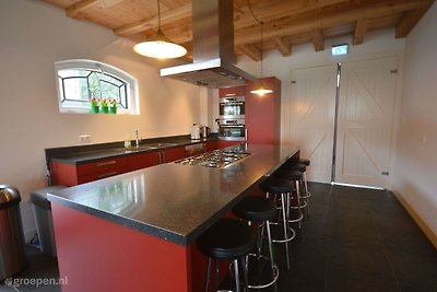 Ferienhaus Snelrewaard SNL-1441
