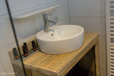 Vakantiehuis Dishoek DIS-2473