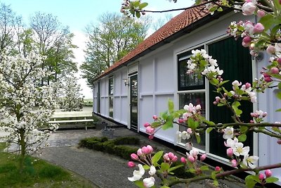 Gruppenunterkunft Blokzijl BAO-1382