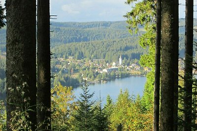 Groepsaccommodatie Feldberg FEL-2363-G