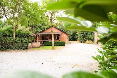 Ferienhaus Baarschot BAA-647