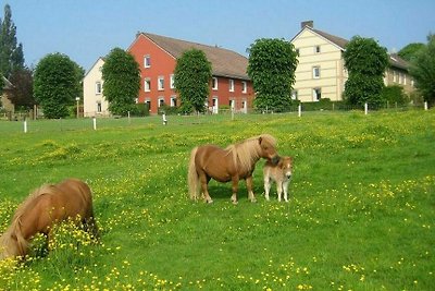 Ferienhaus Gulpen GUL-2180