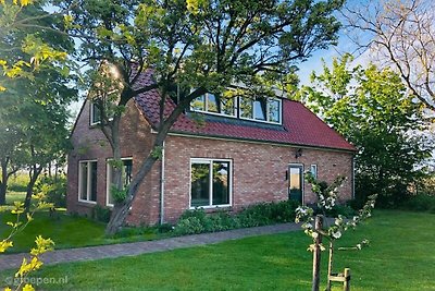 Ferienhaus De cocksdorp COC-1932-DG
