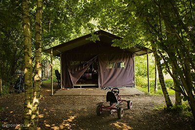 Ferienhof Dwingeloo BNB-2501
