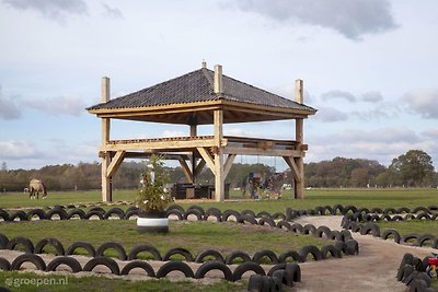 Ferienhaus Winterswijk WIN-371