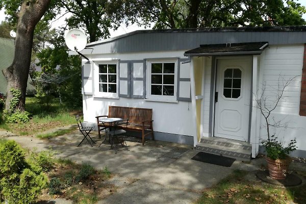 Ferienhaus Zinnowitz