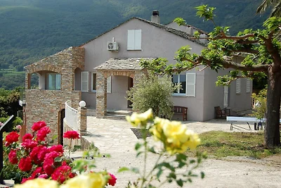 TRES GROSSE AUSNAHMEVILLA 4****