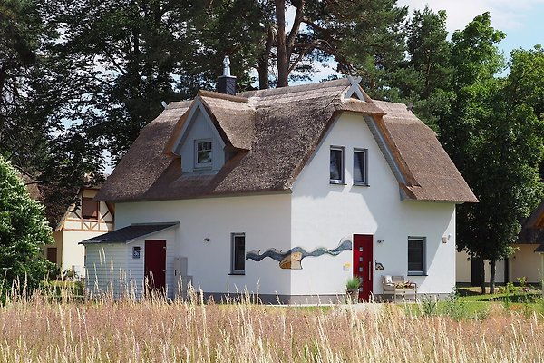 Ferienhaus Zirchow