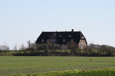 Haus Feldblick