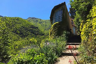 Haus Tilley