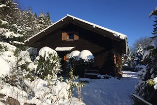 Chalet Willingen
