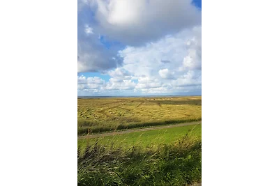 Deichgucker - Urlaub an der Küste