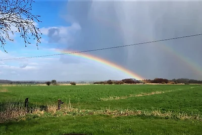Nordlicht auf dem Mövenhof