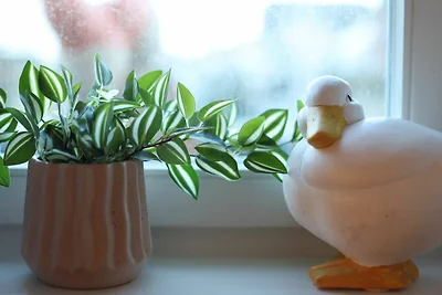 Strandvilla Strand Residenz