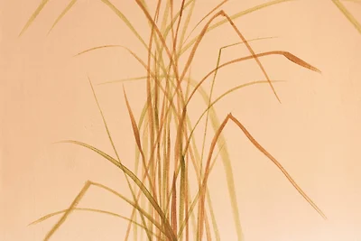 Strandvilla Strand Residenz