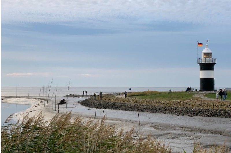 Kleiner Preusse bei Ebbe