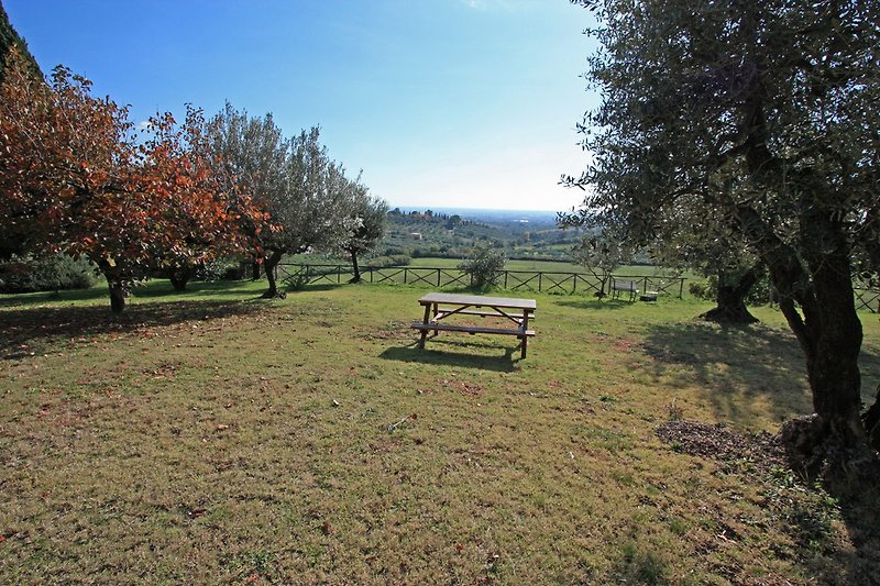 Spaziergang im Resort Vigna Luisa