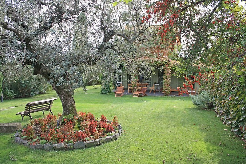 Privater Garten von Ferienwohnung Edera