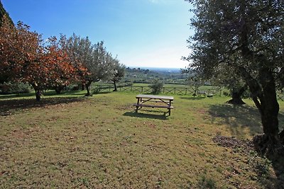 Glicine -Vigna Luisa Resort,bei Rom