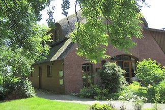 Storchennest im Reethus vörn Diek
