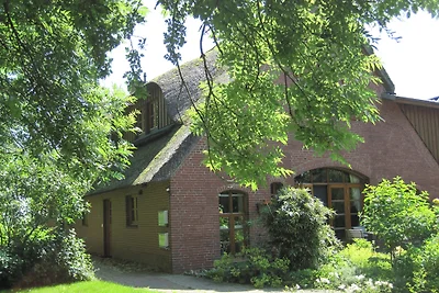 Muschelbank im Reethus vörn Diek