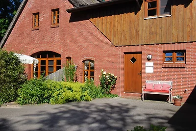 Stella marina nel Reethus vörn Diek