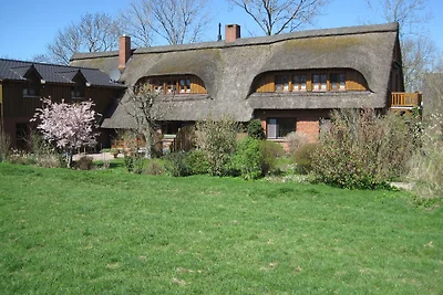 Storchennest im Reethus vörn Diek