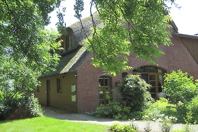 Storchennest im Reethus vörn Diek