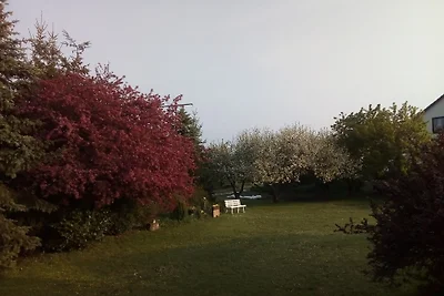 Casa di vacanza nel Grabfeld