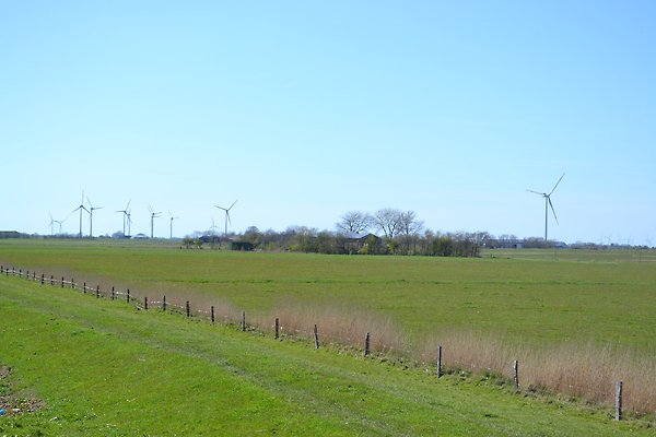 Ferienwohnung Langenhorn