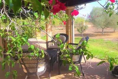 Finca Maravillosa Vista