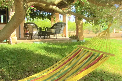Finca Maravillosa Vista