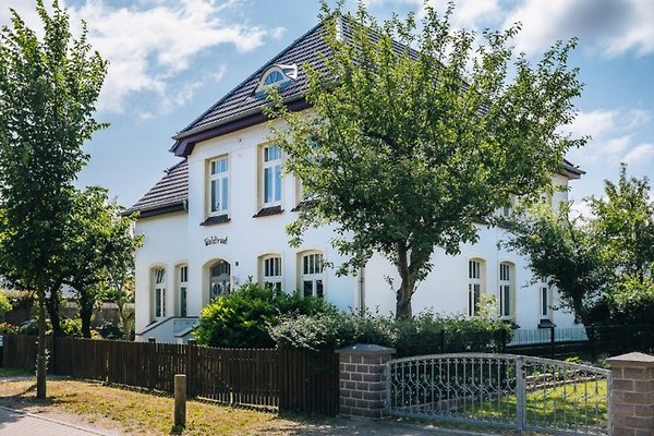 Ferienwohnung Kühlungsborn