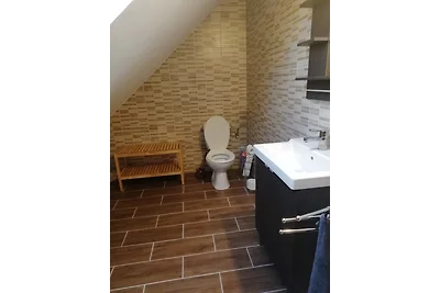 Haus Tannenmeise am Plattensee