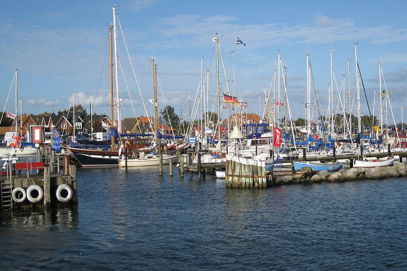 Hafen Maasholm