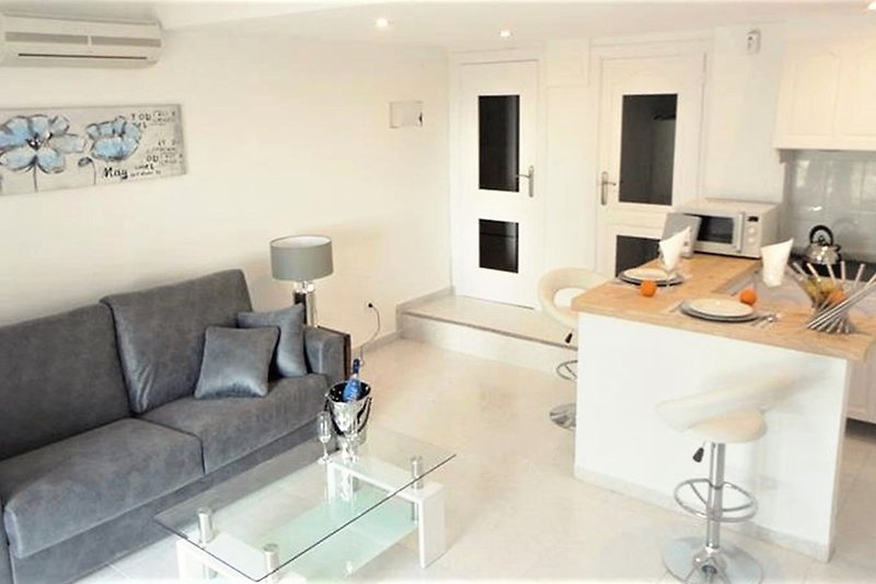 Duże studio Apartament